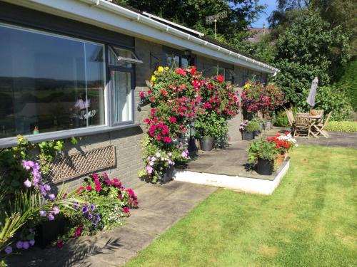 Ystrad Meurig House | Dolau Meurig