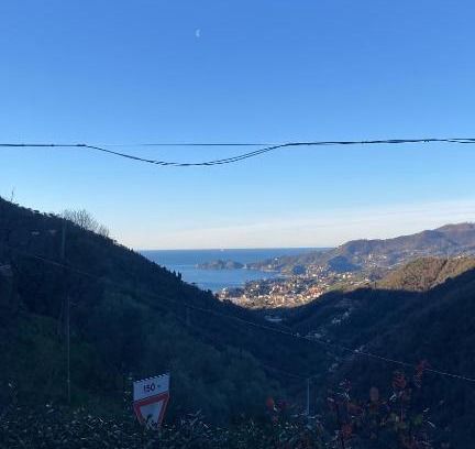 Rapallo Apartment | Dolce Casa da Roby e Andrea by PortofinoVacanze