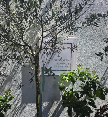 Pergine Valsugana Apartment | Dolomiten Lounge - moderno con parcheggio privato