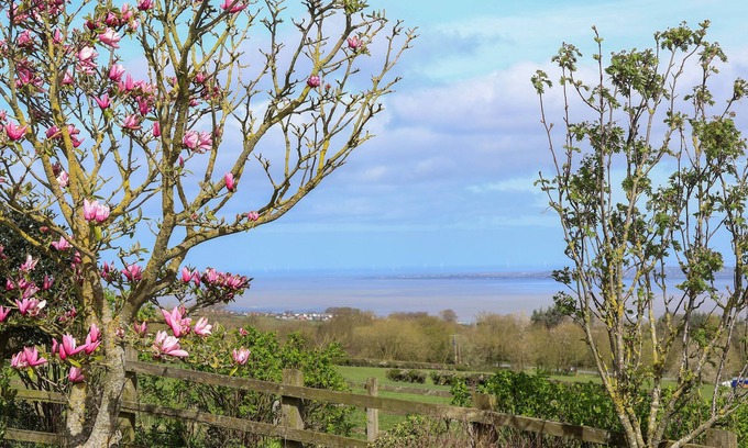 Dolphin Cottage | DOLPHIN BACH, pet friendly, character holiday cottage in Dolphin