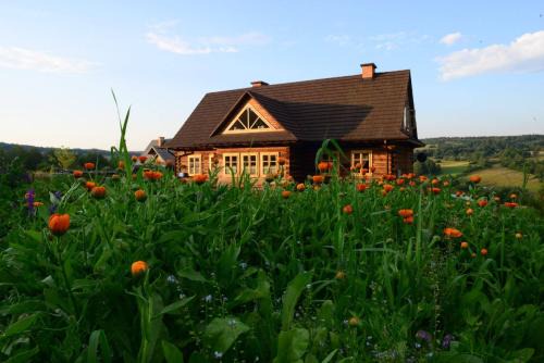 Nowica House | Dom Gościnny Szpilkowo