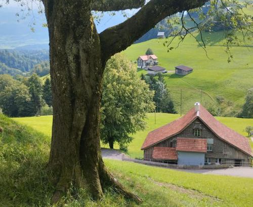 Eschenbach House | Dom wiejski Artur