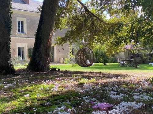 Notre-Dame-d'Oe Bed & Breakfast | Domaine de La Soudelle