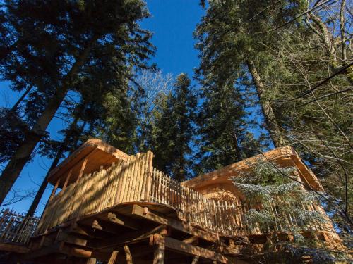 Fournet-Blancheroche House | Domaine de l'Authentique Cabanes dans les arbres