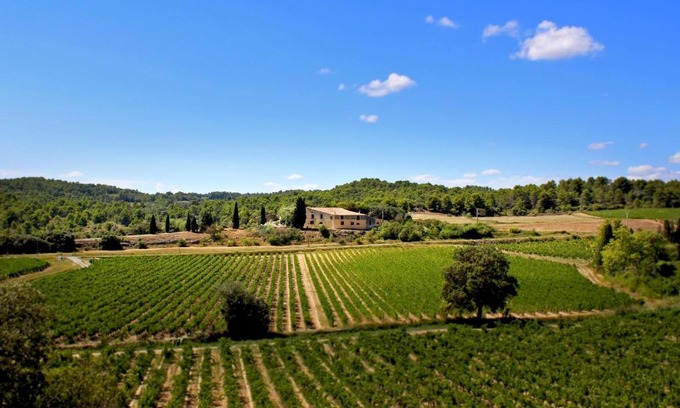 Laure-Minervois House | Domaine de Palats