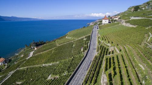 Chardonne House | Domaine du Burignon