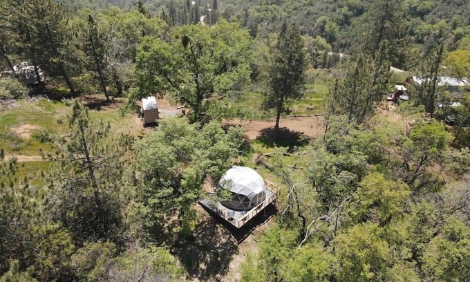 Dunlap Apartment | Dome 3 - Enchanted Forest