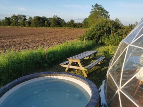 Lincoln Apartment | Dome One with Hot Tub, Lincoln, Projector, Firepit