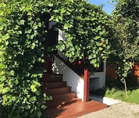 Warta House | Domek Cicho Sza