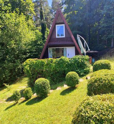 Gietrzwald Cabin | Domek na polanie