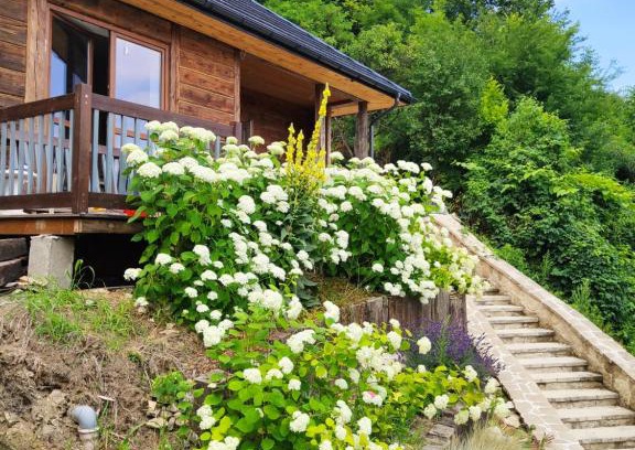 gmina Szczebrzeszyn Apartment | Domek nad chrząszczem