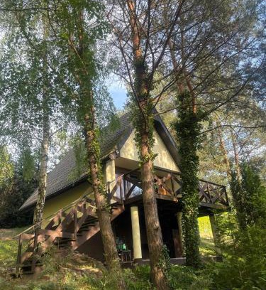 Gasawa House | Domek Sosnowe Wzgórze Wiktorowo