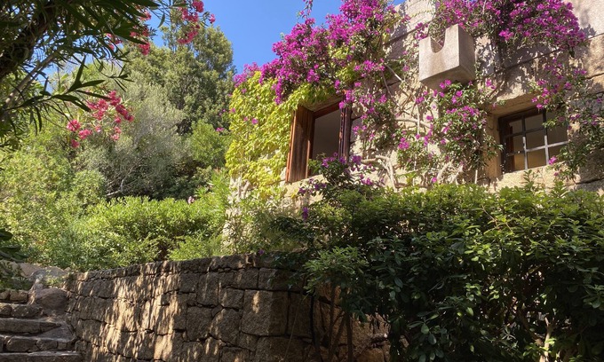 Abbiadori House | DOMUS OLIVARUM-Costa Smeralda NEW! 7 guest, 3 room, 2 bathroom, 2 PK, Wifi A/C