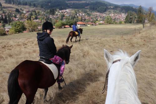 Koprivshtitsa House | Dona Guest House - Horse Riding