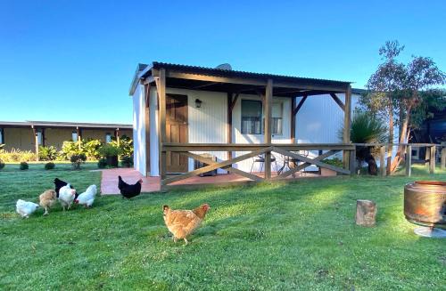 Wilga House | DONN4254C - Wilga Farm Stay - Cockatoo Cottage