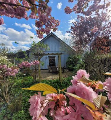 Hollenstedt House | Donner
