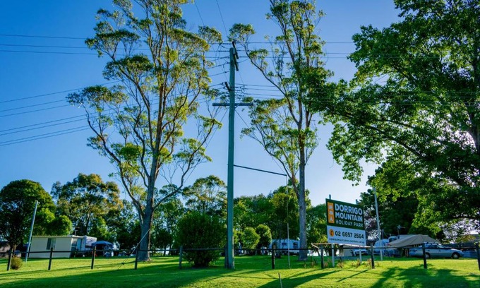Dorrigo Other | Dorrigo Mountain Holiday Park