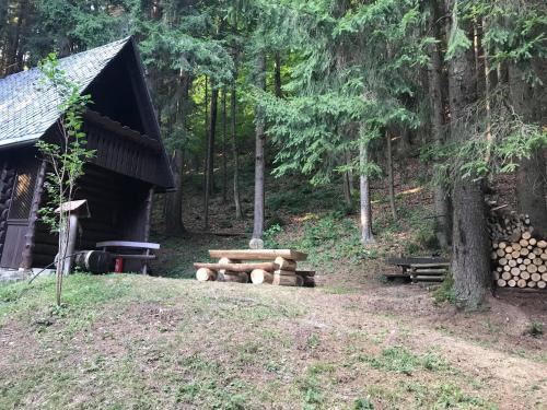 Zelezniki Ski Chalet | Dotik gozda