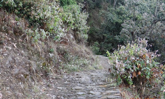 Kaul Bed & Breakfast | Double Room @ Calm Cottages, Nathuakhan