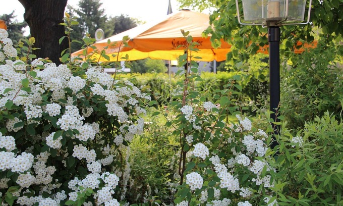 Lohsa Apartment | Double room, max. 2 people - Gasthof & Pension Zur Friedenseiche (Pension)