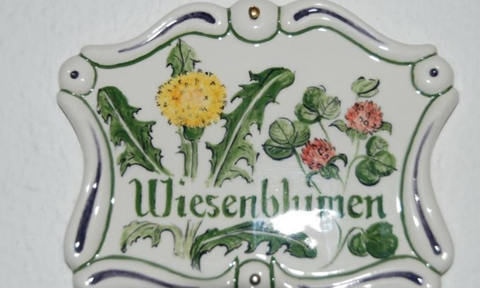 Vorderstoder Other | Double room "Wiesenblumen" with bath, WC - Ferienhof Zamsegg