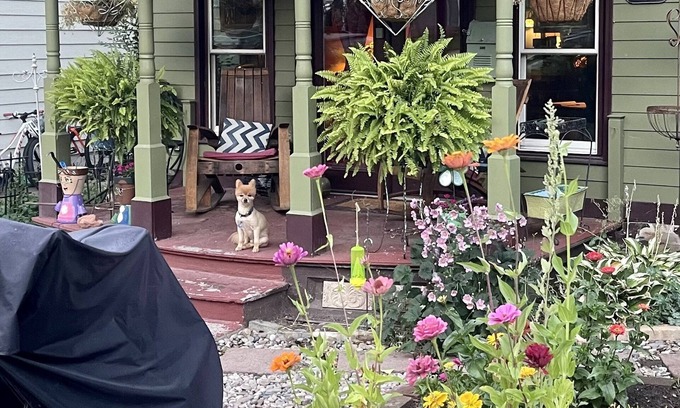 Glenwood Springs Bed & Breakfast | Downtown BnB King Bed Clawfoot Tub & Hot Tub