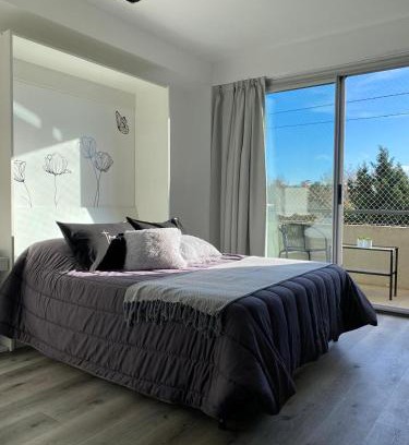 Tigre Apartment | Dr Propiedades 210