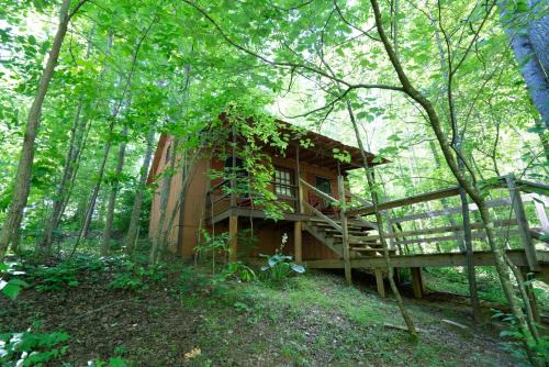 Blairsville House | Dragon Fly