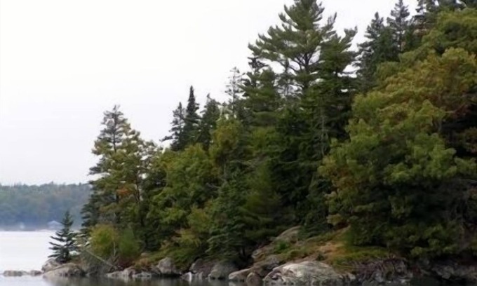 Bar Harbor Apartment | Dragonfly Woods-Bright airy efficiency apartment nestled in the woods. VR1R25117