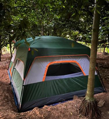 Irinjalakuda Other | Dragster Tents