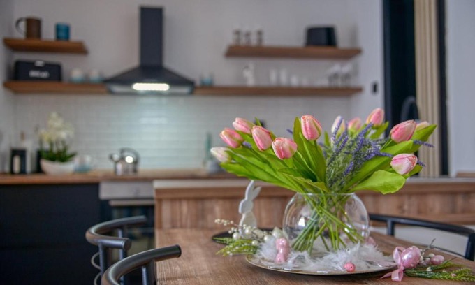 Vrsac Apartment | Dream Apartment Vršac