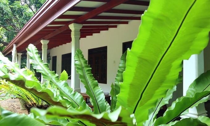 Sigiriya Bed & Breakfast | Dream Weaver Eco Homestay Sigiriya