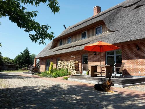 Malchin Apartment | Dreiurtshof