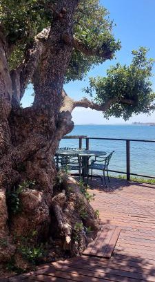 Gordons Bay Central Villa | Driftwood Beach Villa