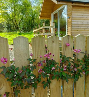 Llandeilo Other | Dryw bach glamping hut