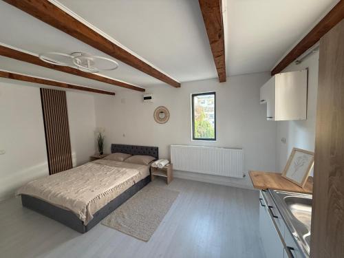 Dragasani Apartment | DS beauty center