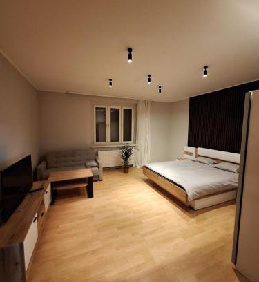 Chorzow Batory Apartment | DTŚ Apartments