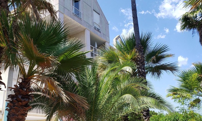 Canale-di-Verde Apartment | Duplex vue Mer, au Calme au Milieu D'un Jardin, à 150m de la Plage à Pieds