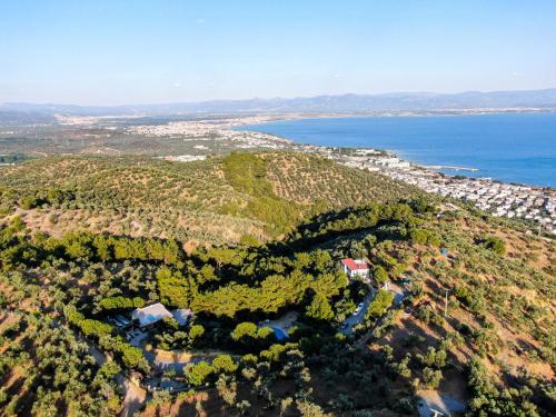 Edremit Hotel | Dusler Vadisi Kazdaglari