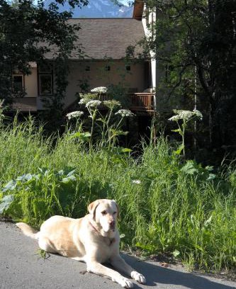 Eagle River House | Eagle Peak Guesthouse