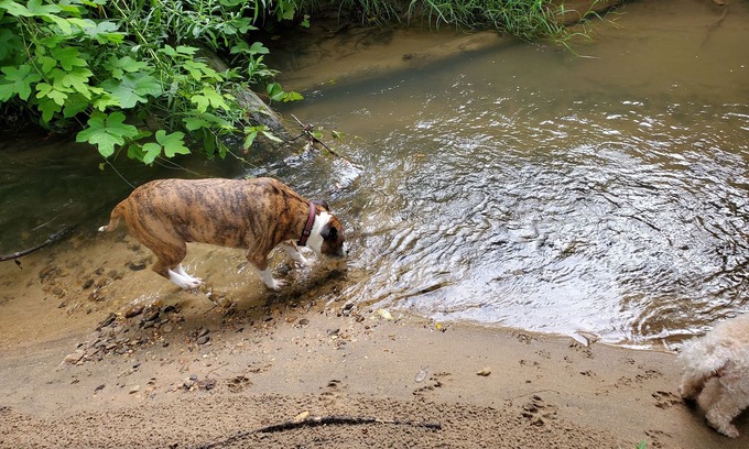 Sunset House | Eagle's Nest by Table Rock. Perfect for Hickers, Cyclers, and Swimmers.