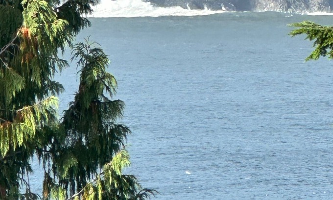 Port Renfrew Cottage | Eagle Way - Unit 243