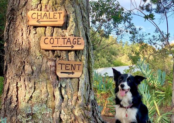 Wilderness House | Eagles' Call Cottages and Tent