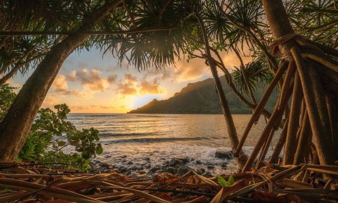 Punaluu House | East Oahu Oceanfront Estate