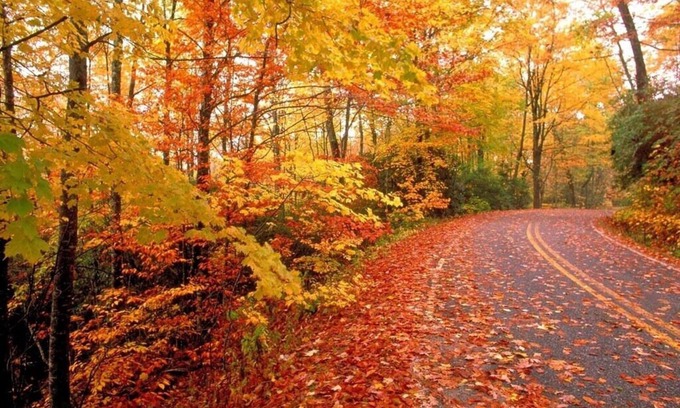 Gatlinburg - Pigeon Forge Cabin | 🐾 EASY ACCESS 🐾 NO Crazy Roads 🐾 BEARS 🐾 5Minutes off Parkway 🐾DOLLYWOOD7Miles 🐾