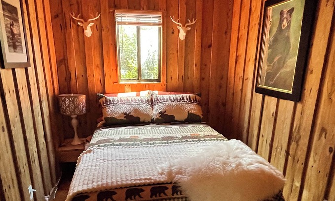 Six Mile Condo | Easy Tiger Cabin at Lake Keowee, near Clemson, SC