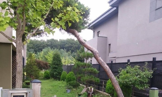 Paju House | 'EAT, PRAY, LOVE' Spoon house