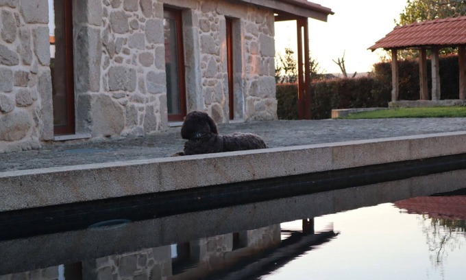 Gondarem Cottage | Eaves House