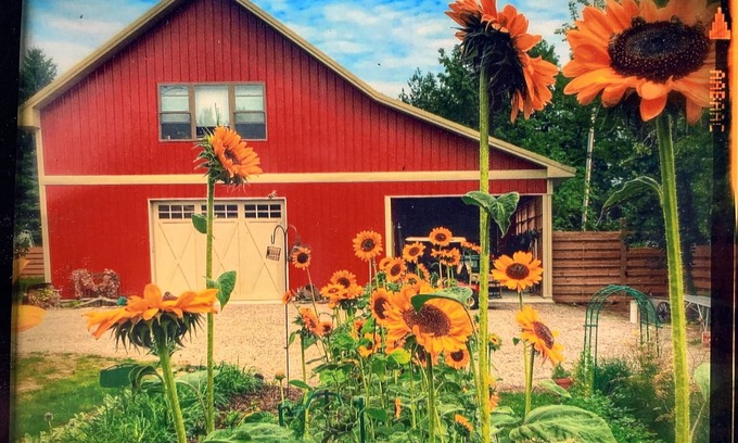 Northport Apartment | Eclectic studio just a short walk from the quaint village center and harbor