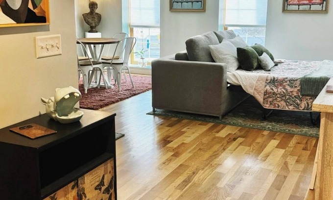 La Crosse Apartment | Eclectic Unique Cozy 1-bedroom apartment with WiFi, AC in charming La Crosse